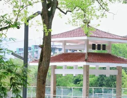 山麓学院