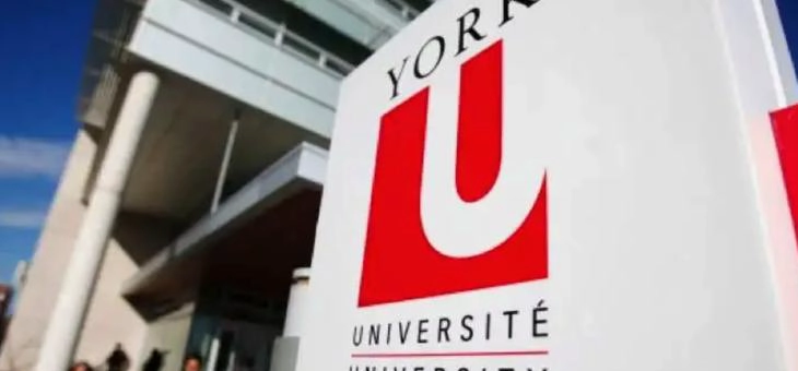 约克大学