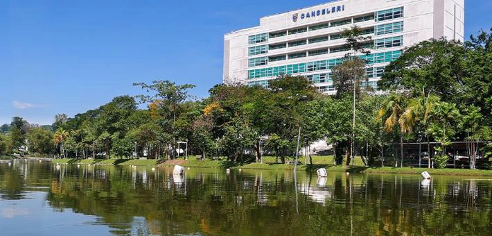 马来亚大学