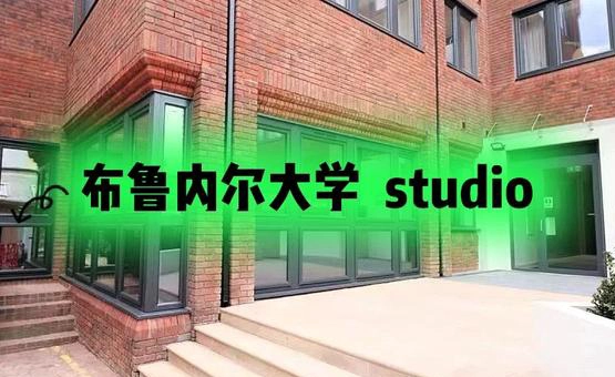 布鲁内尔大学