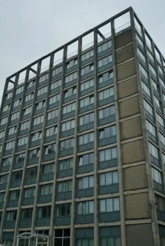 斯旺西大学