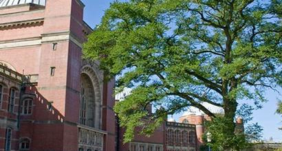 伯明翰大学
