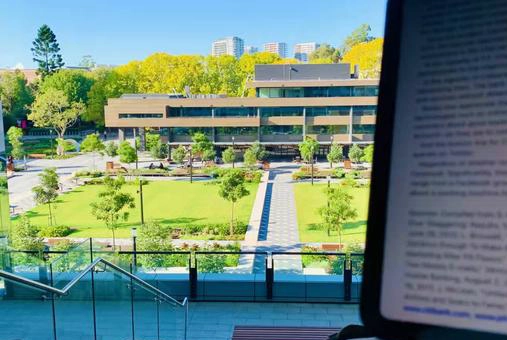 麦考瑞大学