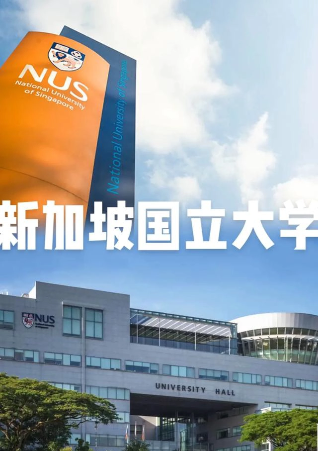 新加坡国立大学