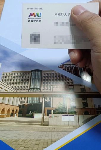 武书野大学