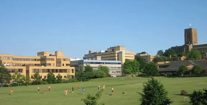 萨塞克斯大学