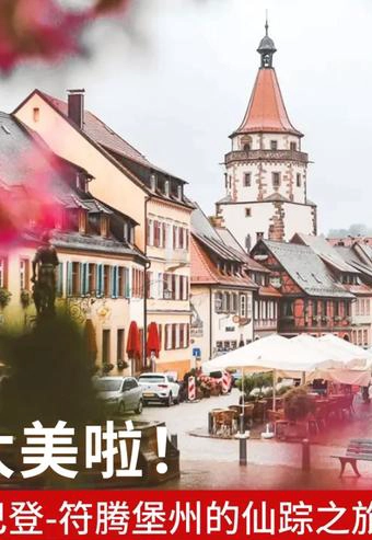 巴登符腾堡双元制应用技术大学