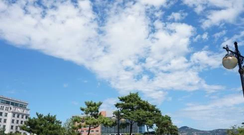 韩国中央大学