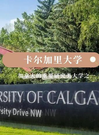 卡尔加里大学