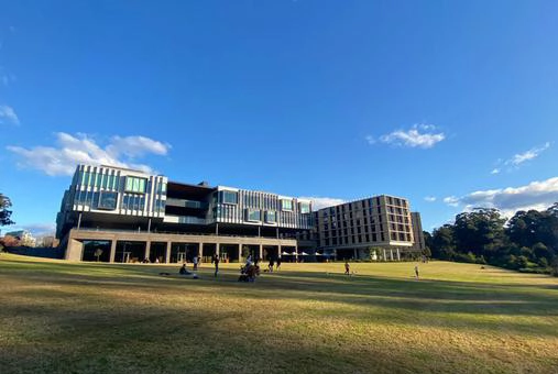 麦考瑞大学