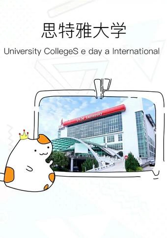 马来西亚思特雅大学